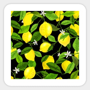 Watercolor Lemon 3 Sticker